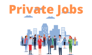 private job - https://www.placementquestionpaper.in